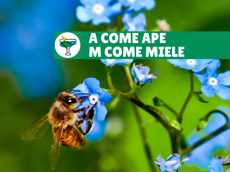 A come Ape- M come Miele